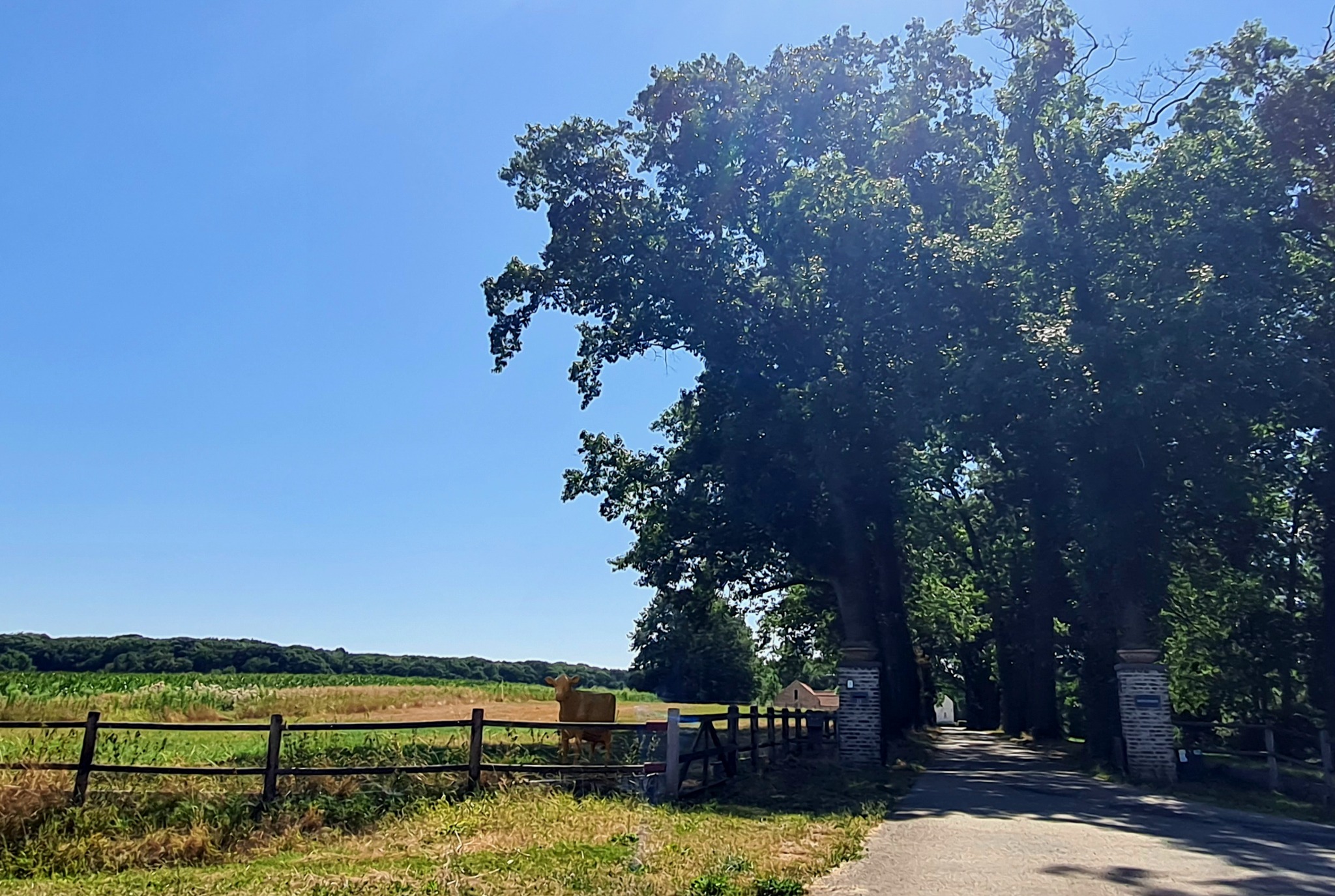 Een natuurfoto van José voor Midden-Limburg in Beeld