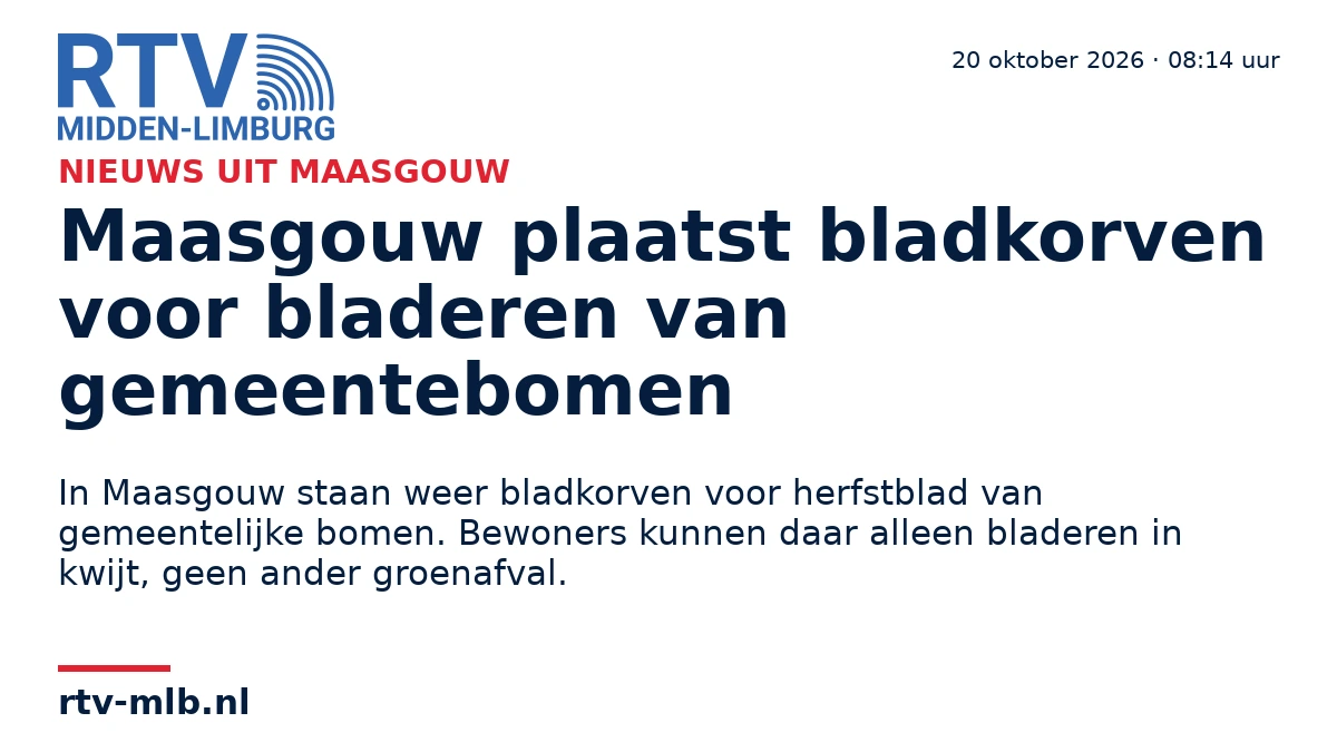 Maasgouw plaatst bladkorven voor bladeren van gemeentebomen — RTV Midden-Limburg